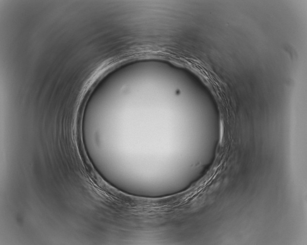 X0000111870195200907231158