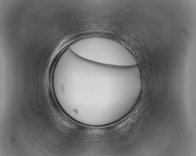 X0000111870198200907231158