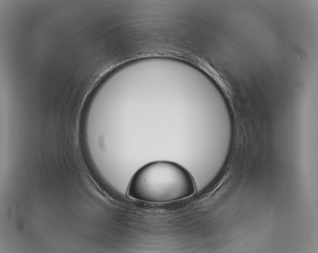 X0000111870203200907231158