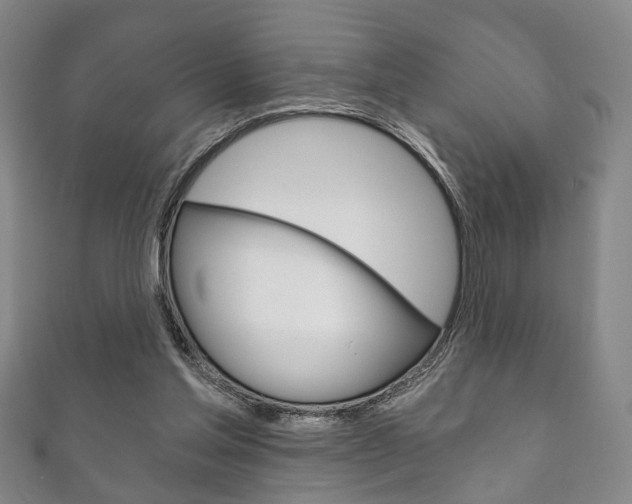 X0000111870205200907231158