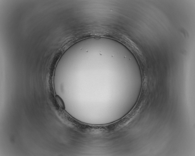 X0000111870209200907231158