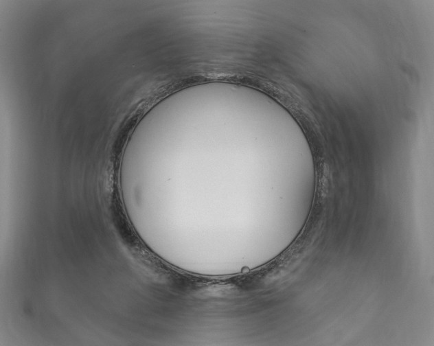 X0000111870210200907231158
