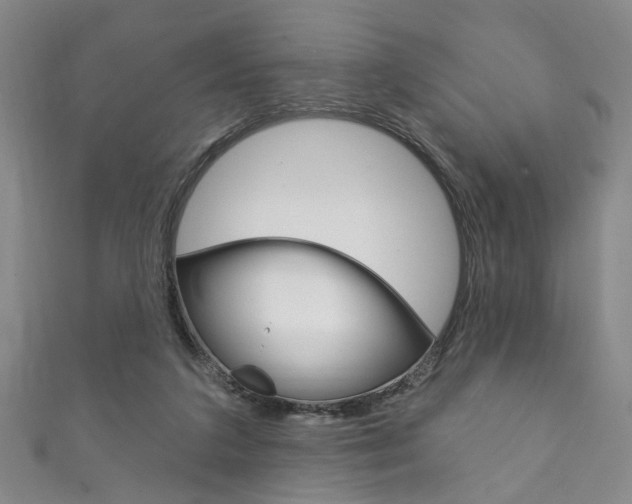 X0000111870211200907231158