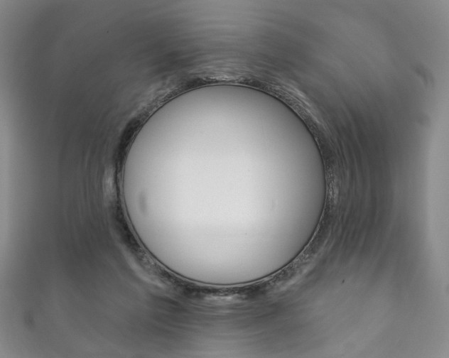 X0000111870213200907231158