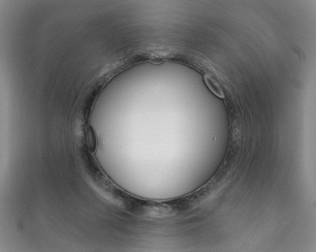 X0000111870215200907231158