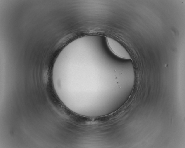 X0000111870216200907231158