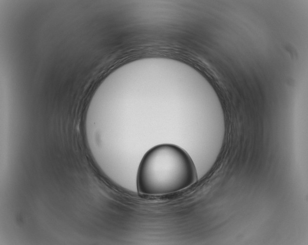 X0000111870217200907231158