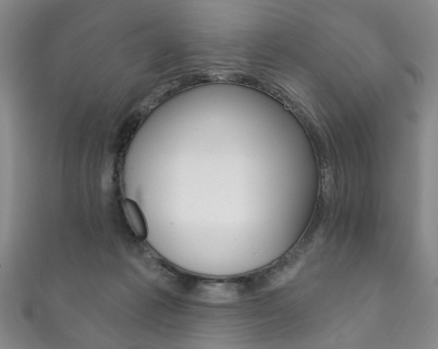 X0000111870221200907231158