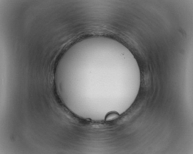 X0000111870228200907231157