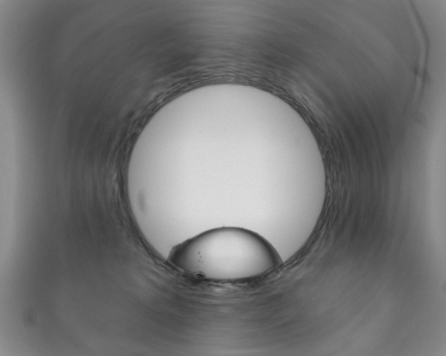 X0000111870229200907231157