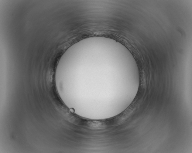 X0000111870230200907231157