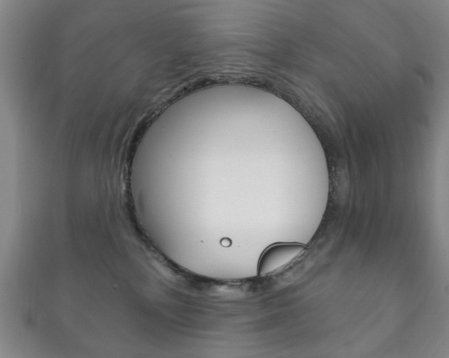 X0000111870232200907231157