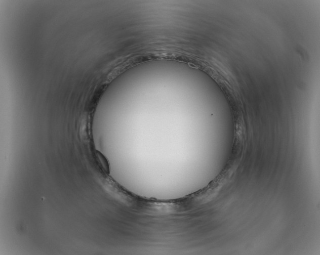 X0000111870233200907231157