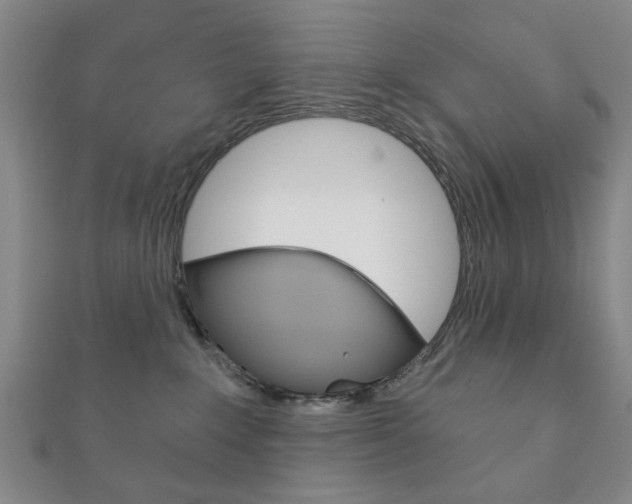 X0000111870235200907231157