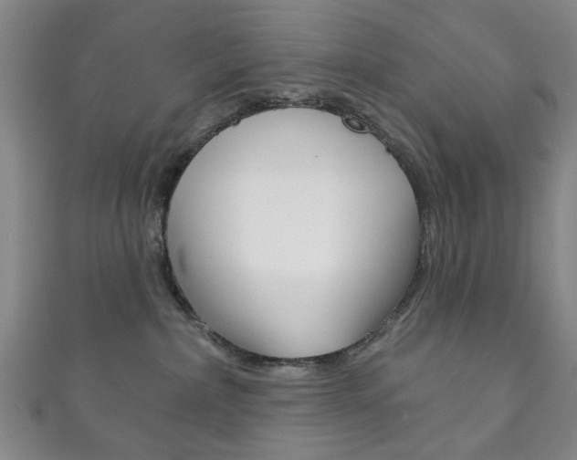 X0000111870236200907231157