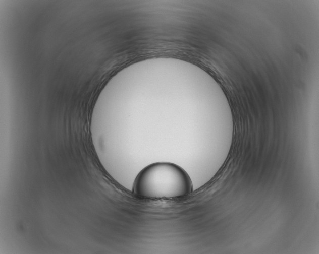 X0000111870237200907231157