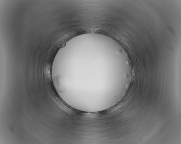 X0000111870238200907231157