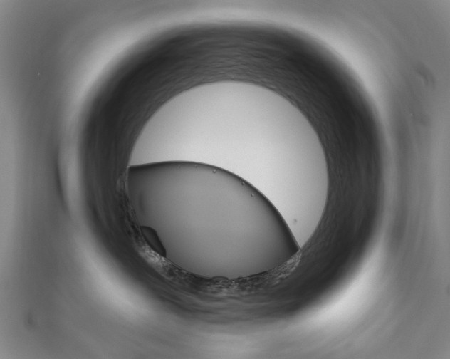 X0000111870239200907231157