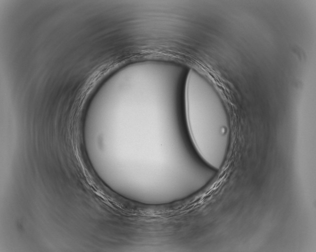 X0000111870241200907231157