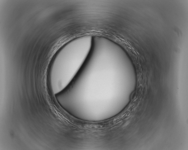 X0000111870242200907231157