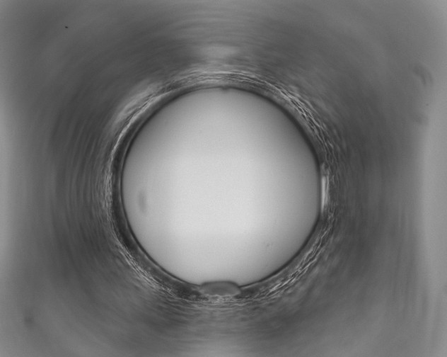 X0000111870243200907231157