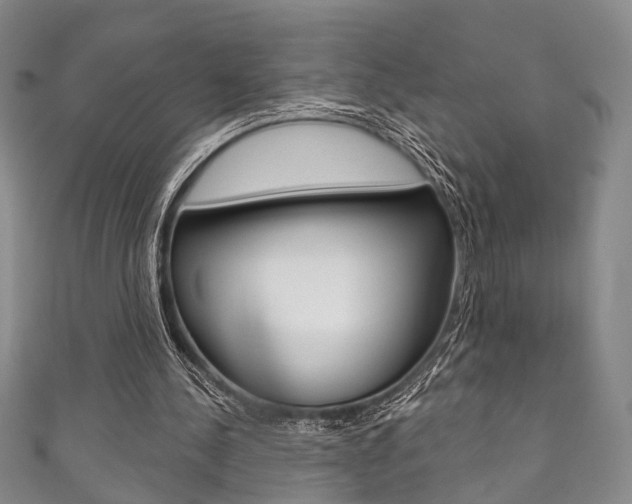 X0000111870244200907231157