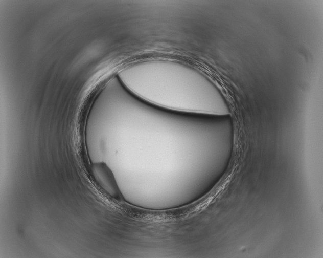 X0000111870245200907231157