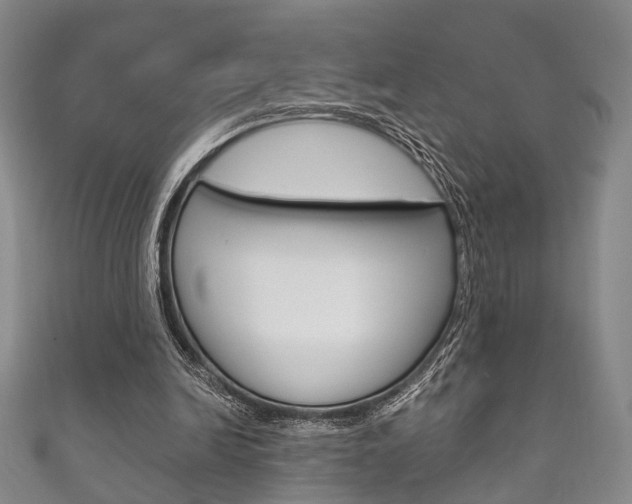 X0000111870246200907231157