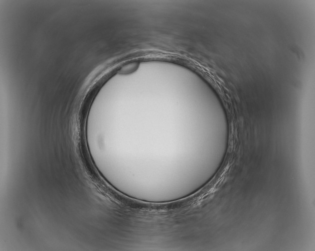 X0000111870247200907231157