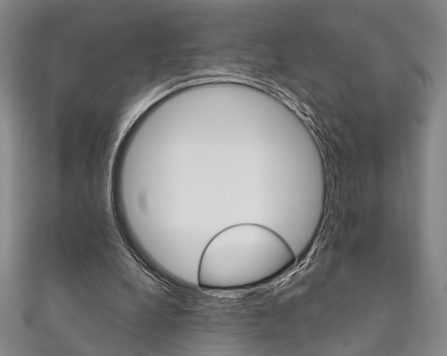 X0000111870248200907231157