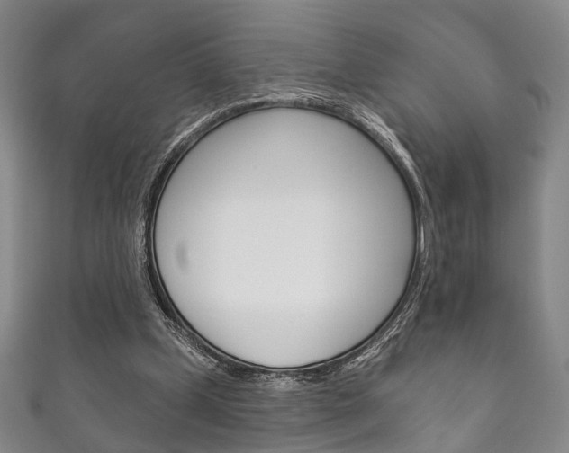 X0000111870249200907231157