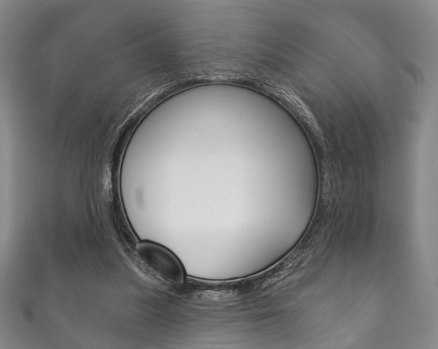 X0000111870251200907231157