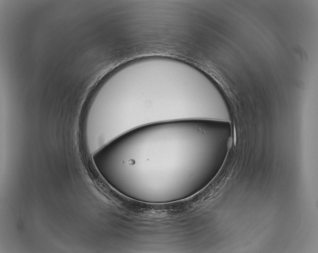 X0000111870252200907231157
