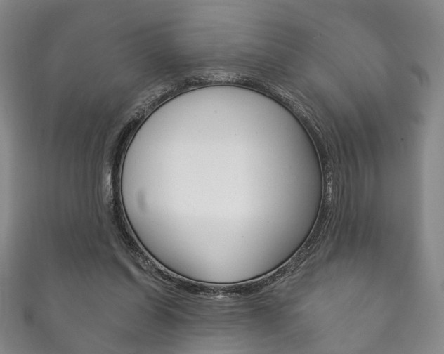 X0000111870254200907231157