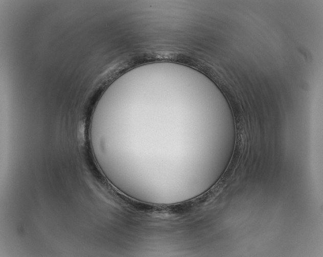 X0000111870262200907231157