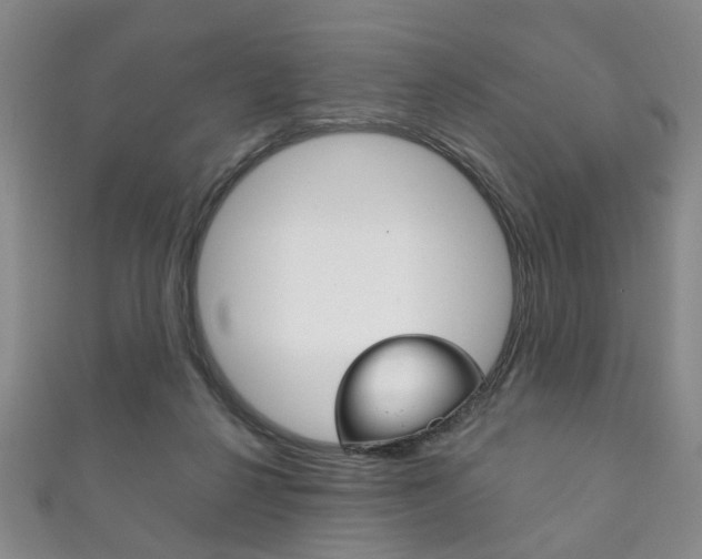 X0000111870264200907231157
