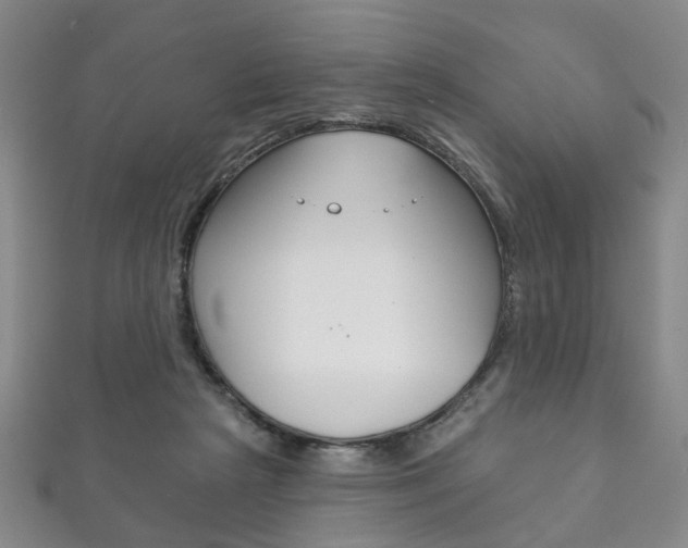 X0000111870265200907231157