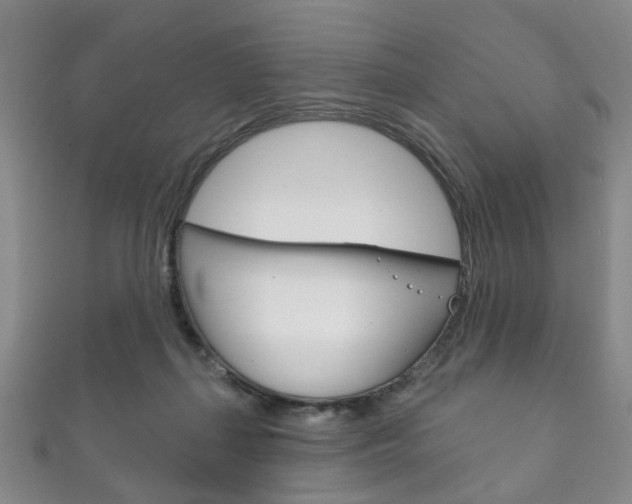 X0000111870267200907231157