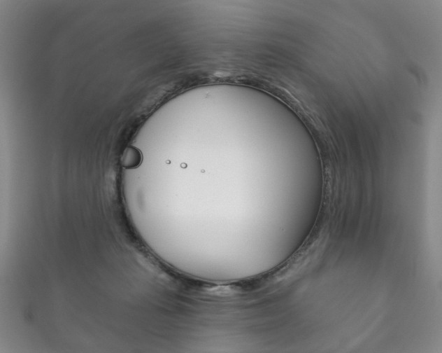 X0000111870269200907231157