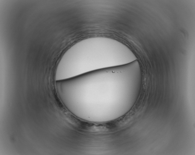 X0000111870270200907231157