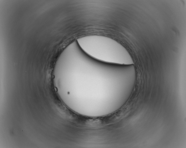 X0000111870271200907231157