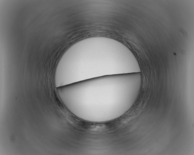 X0000111870274200907231157