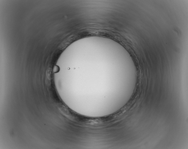 X0000111870275200907231157