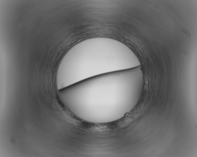X0000111870278200907231157