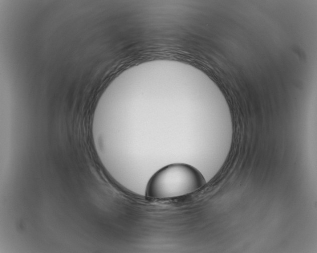 X0000111870280200907231157