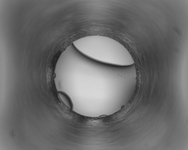 X0000111870283200907231157