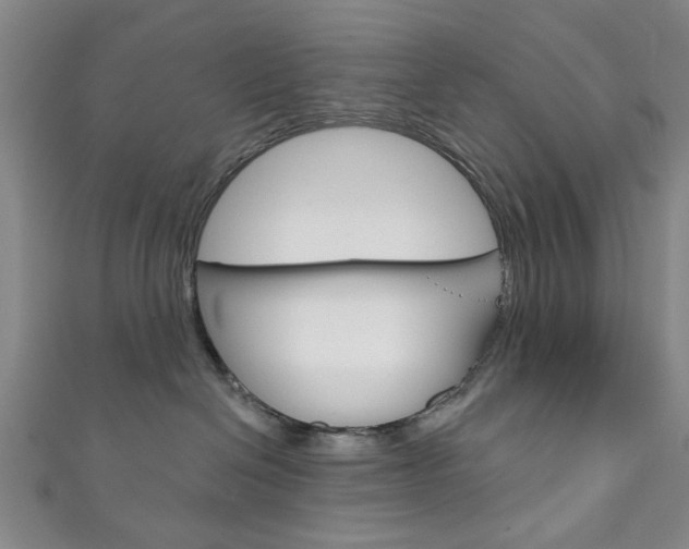 X0000111870286200907231157
