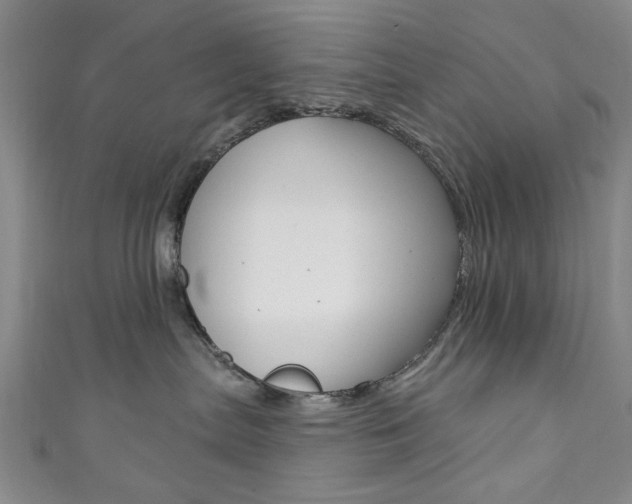 X0000111870287200907231157