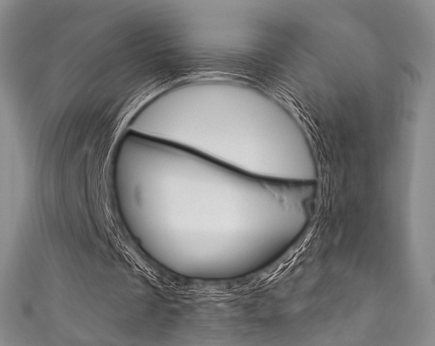 X0000111870289200907231157