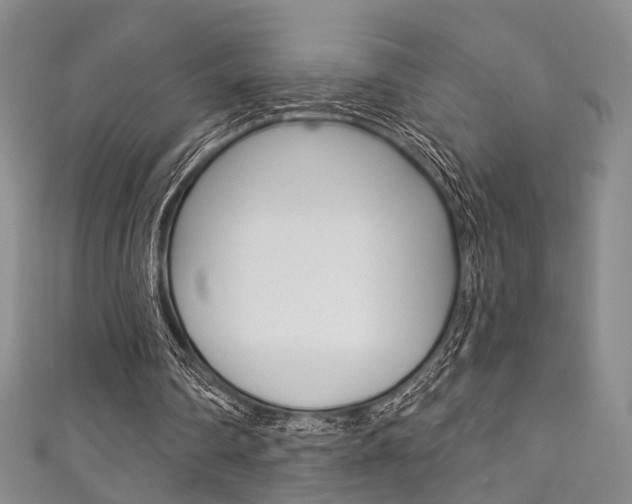X0000111870290200907231157